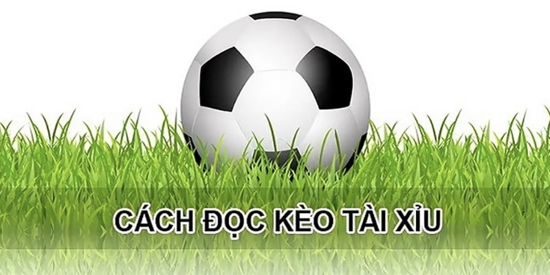 tài xỉu bóng đá